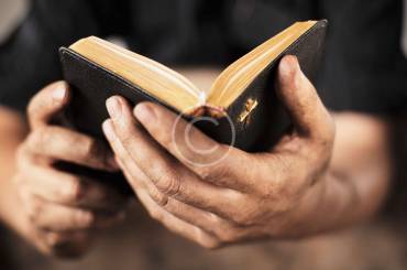 Watch and Read